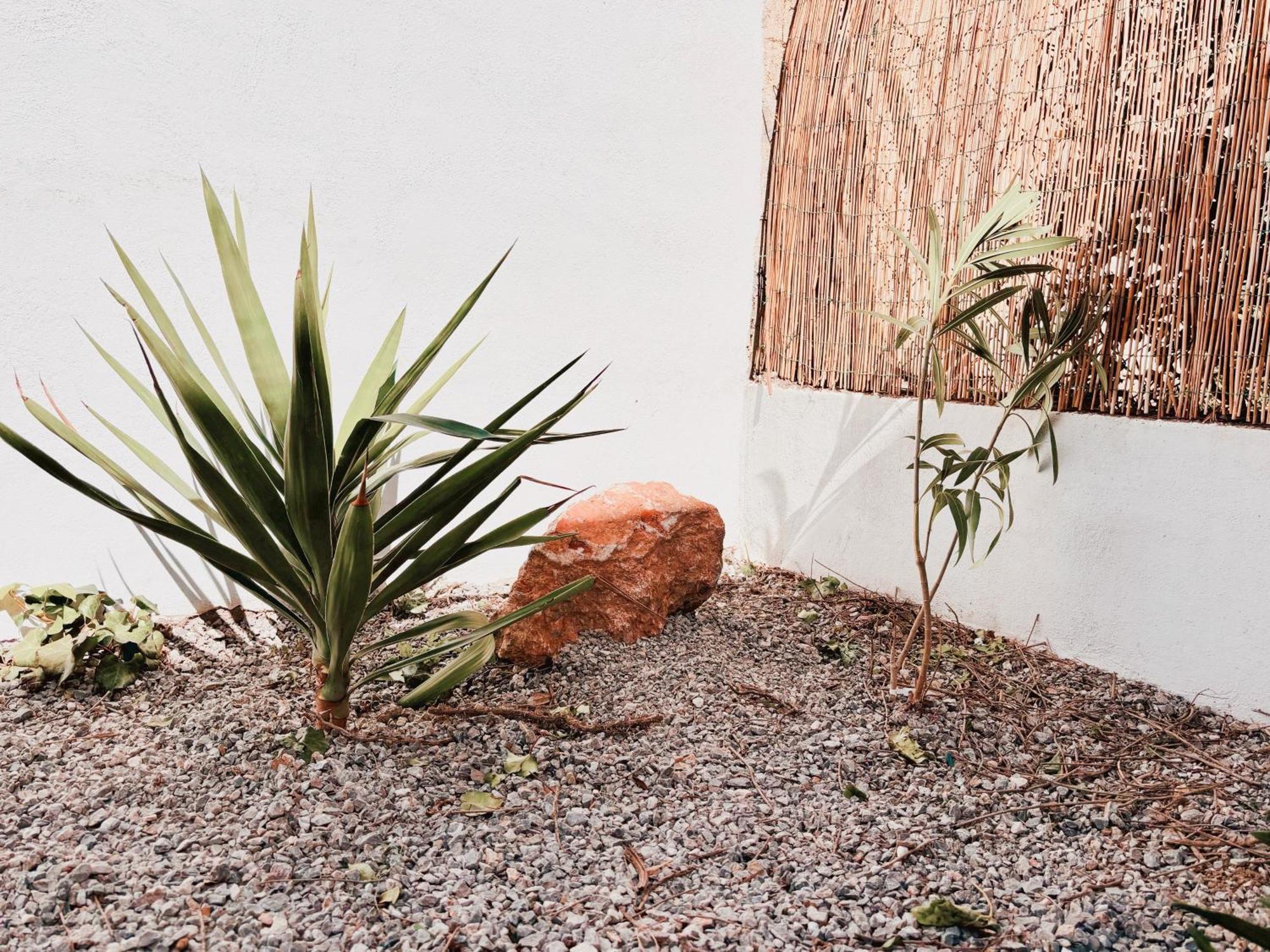 Appartement Avec Jardin Privatif A 300M De La Plage *2* 卡内 外观 照片